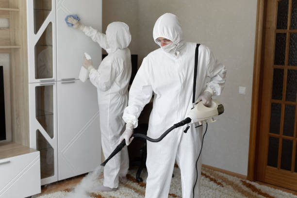24/7 Emergency Odor Removal experts in Daleville, VA